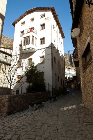 IMG 3536