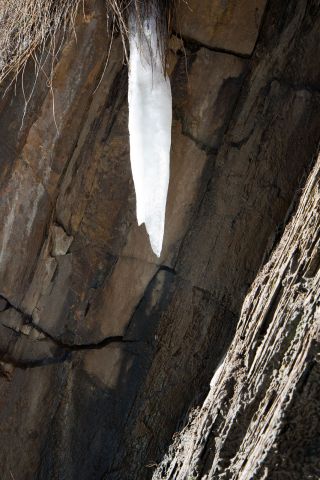 IMG 3571