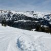 IMG_3660.jpg