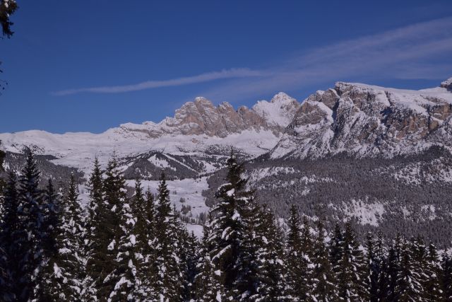 DSC_0415.JPG