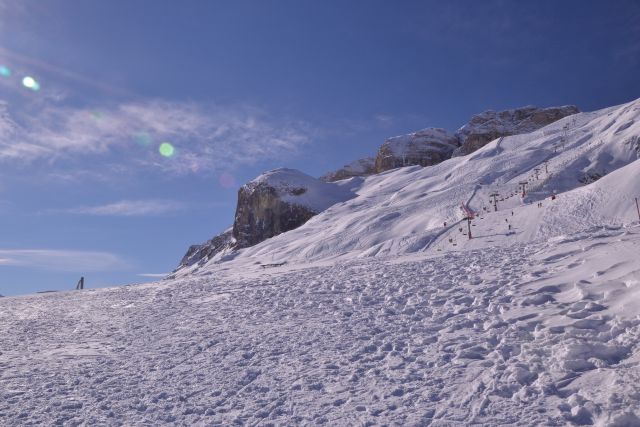 DSC_0426.JPG