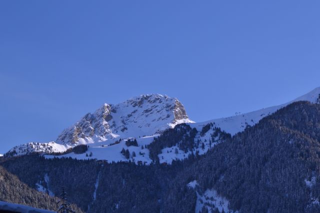 DSC_0399.JPG