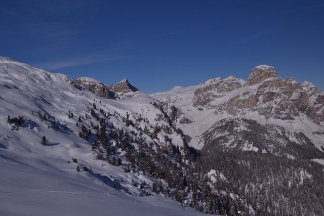 DSC_0417.JPG