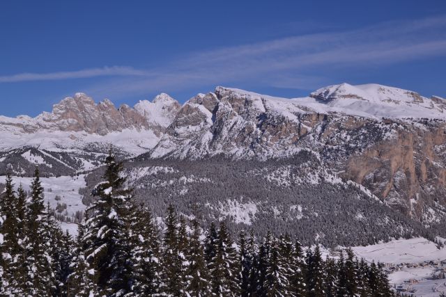 DSC_0416.JPG