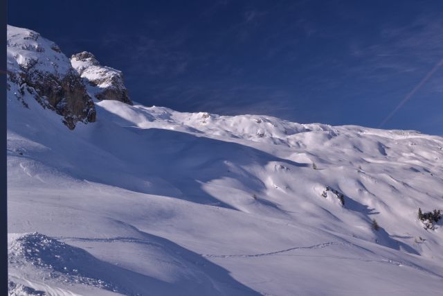 DSC_0418.JPG