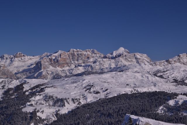 DSC_0423.JPG