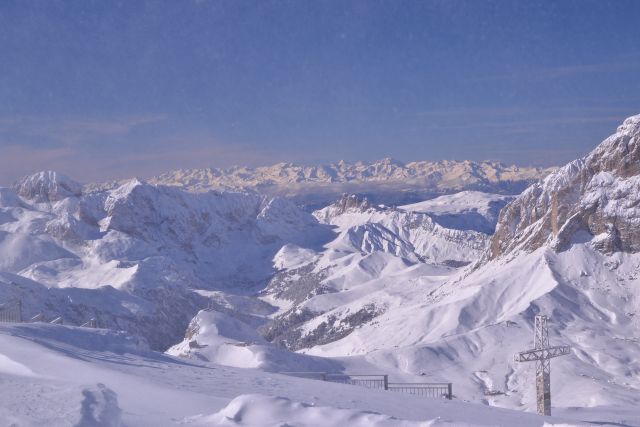 DSC_0732.JPG