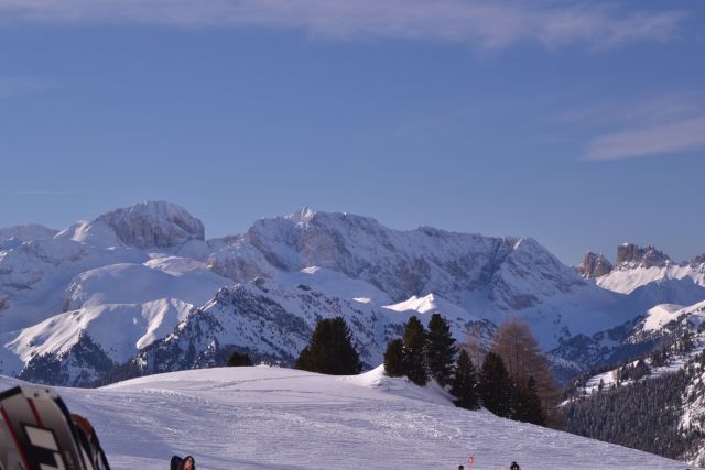 DSC_0437.JPG