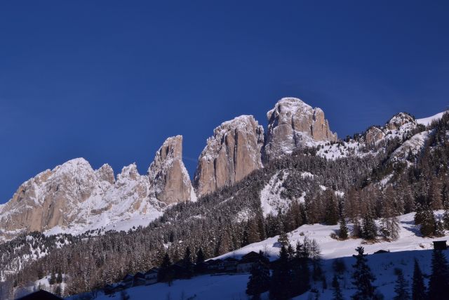 DSC_0397.JPG