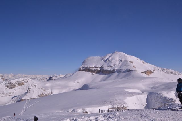 DSC_0713.JPG
