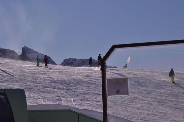 DSC_0441.JPG