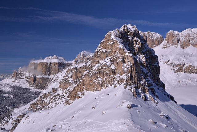 DSC_0772.JPG