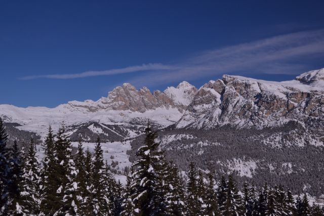 DSC_0414.JPG
