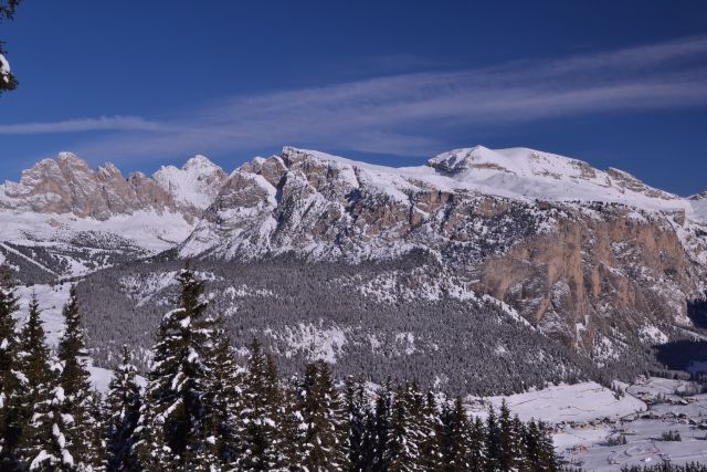 DSC_0408.JPG