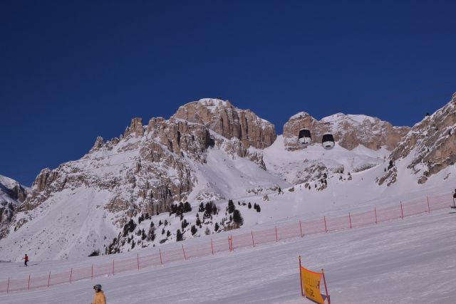 DSC_0436.JPG