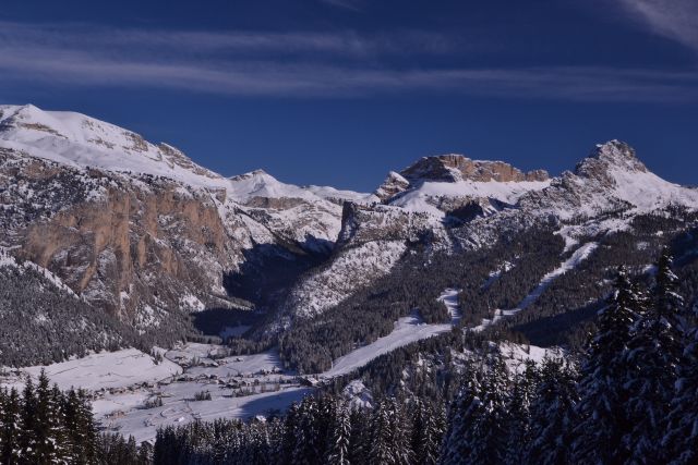 DSC_0409.JPG