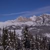 DSC_0415.JPG