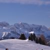 DSC_0437.JPG