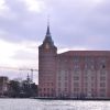 DSC 0422   копия