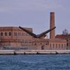 DSC 0413   копия