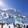20130212 122237 (2)
