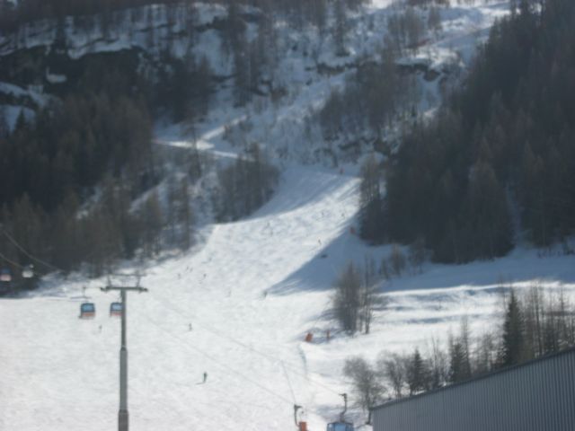 IMG 0266