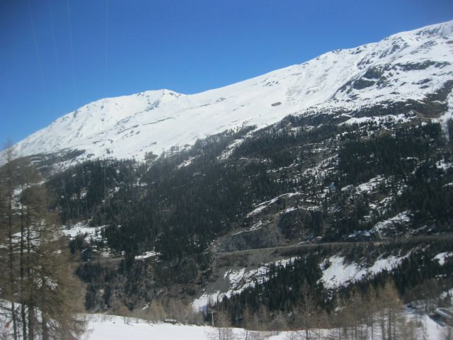 IMG 0282