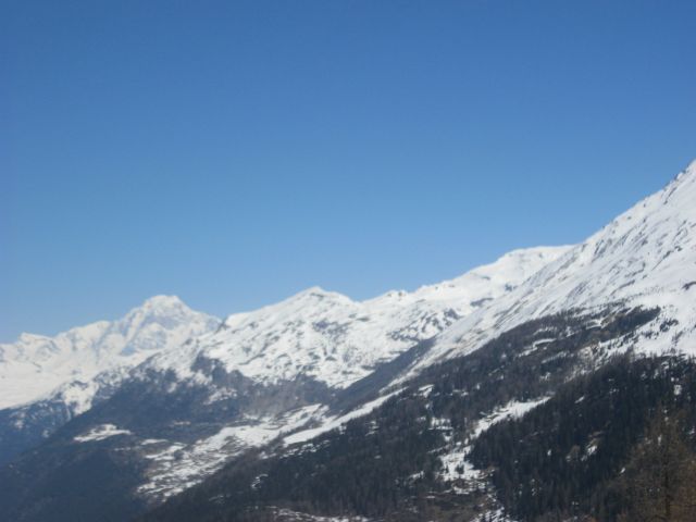 IMG 0278