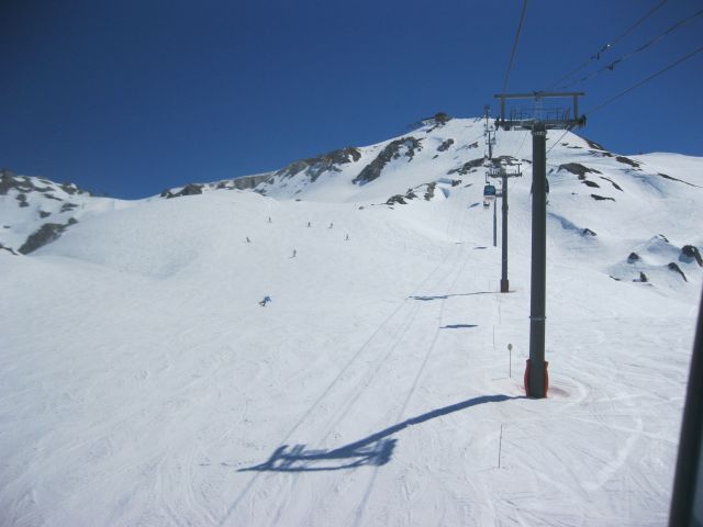 IMG 0295