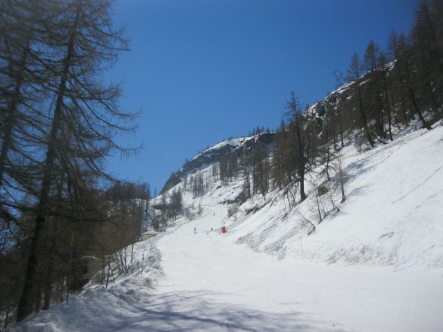 IMG 0279