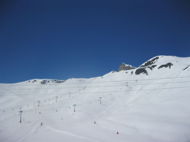 IMG 0276