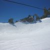 IMG 0290