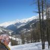 IMG 0273