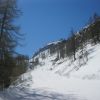 IMG 0279