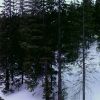 Panorama3