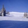 smallP2120308