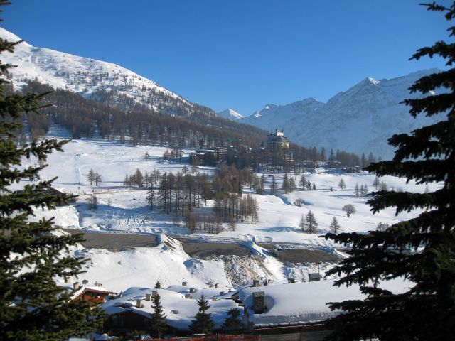 IMG 0245