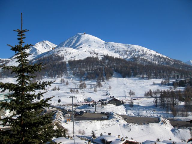 IMG 0243