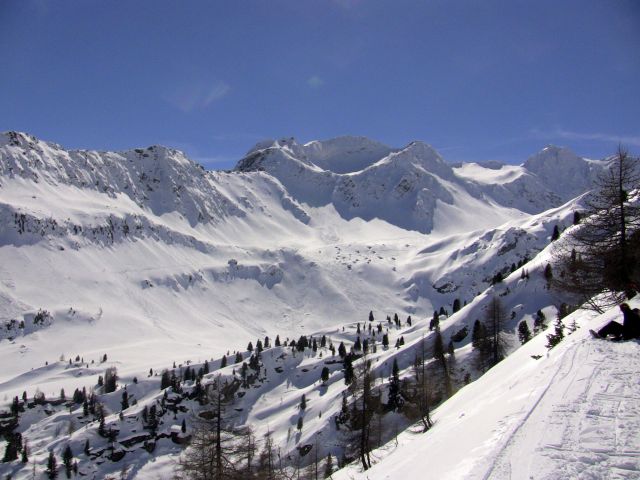 IMG 0408