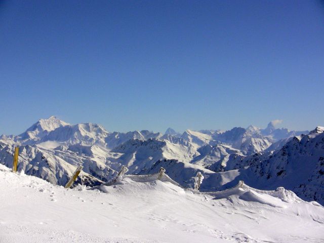 IMG 0385