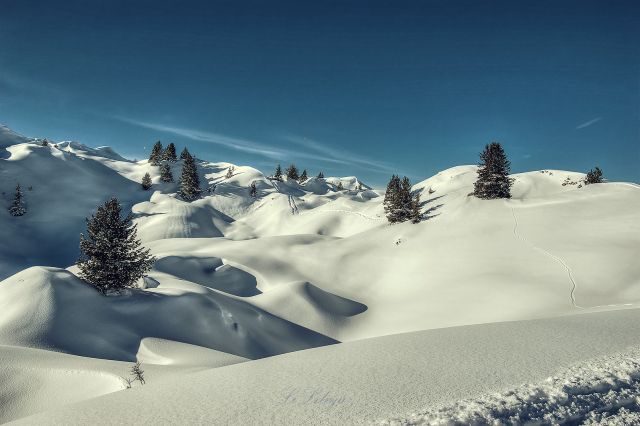 La Plagne