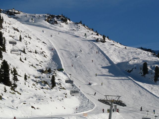 IMG 2055
