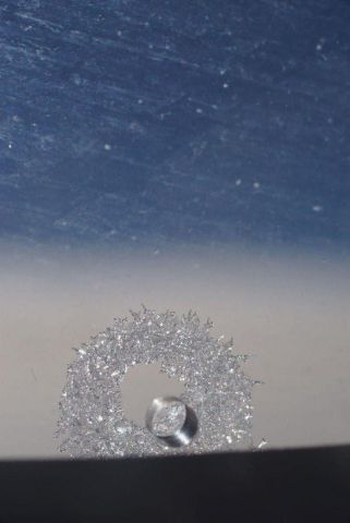 DSC00747