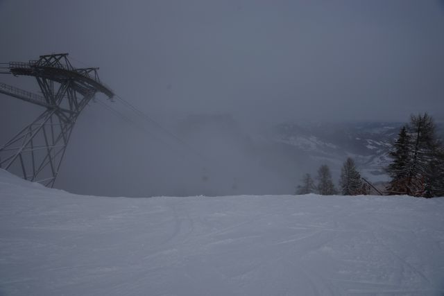 med_gallery_41192_3946_543515.jpg