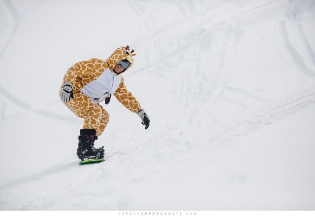 13 03 03 08 sergeyzaporozhets zprwdp 0003