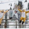 13 03 03 08 sergeyzaporozhets zprwdp 0015