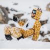 13 03 03 08 sergeyzaporozhets zprwdp 0005