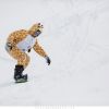 13 03 03 08 sergeyzaporozhets zprwdp 0003