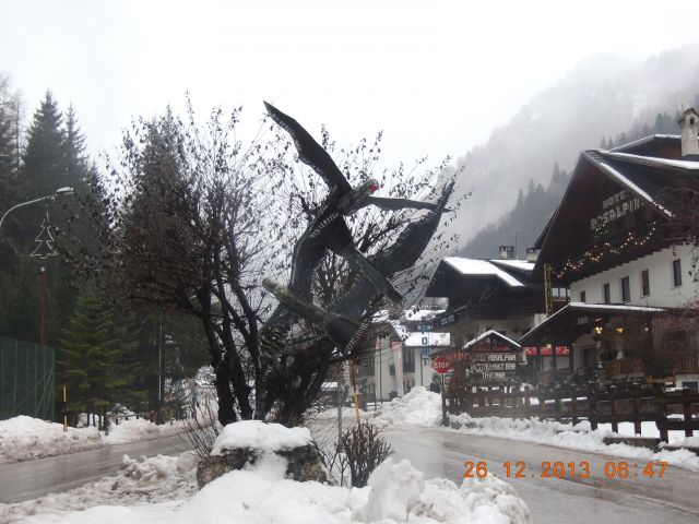 DSCN2339