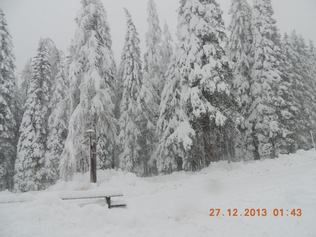 DSCN2362